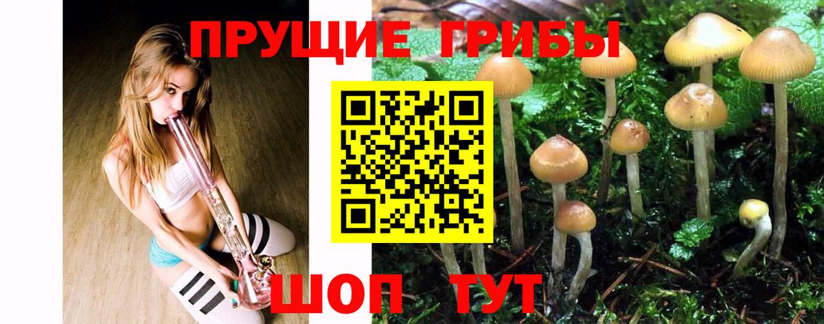 Галлюциногенные грибы GOLDEN TEACHER Орёл